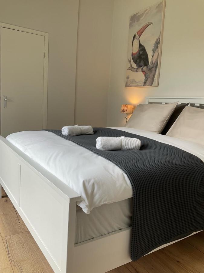 B & B Het Zandhuis 许尔斯霍斯特 外观 照片